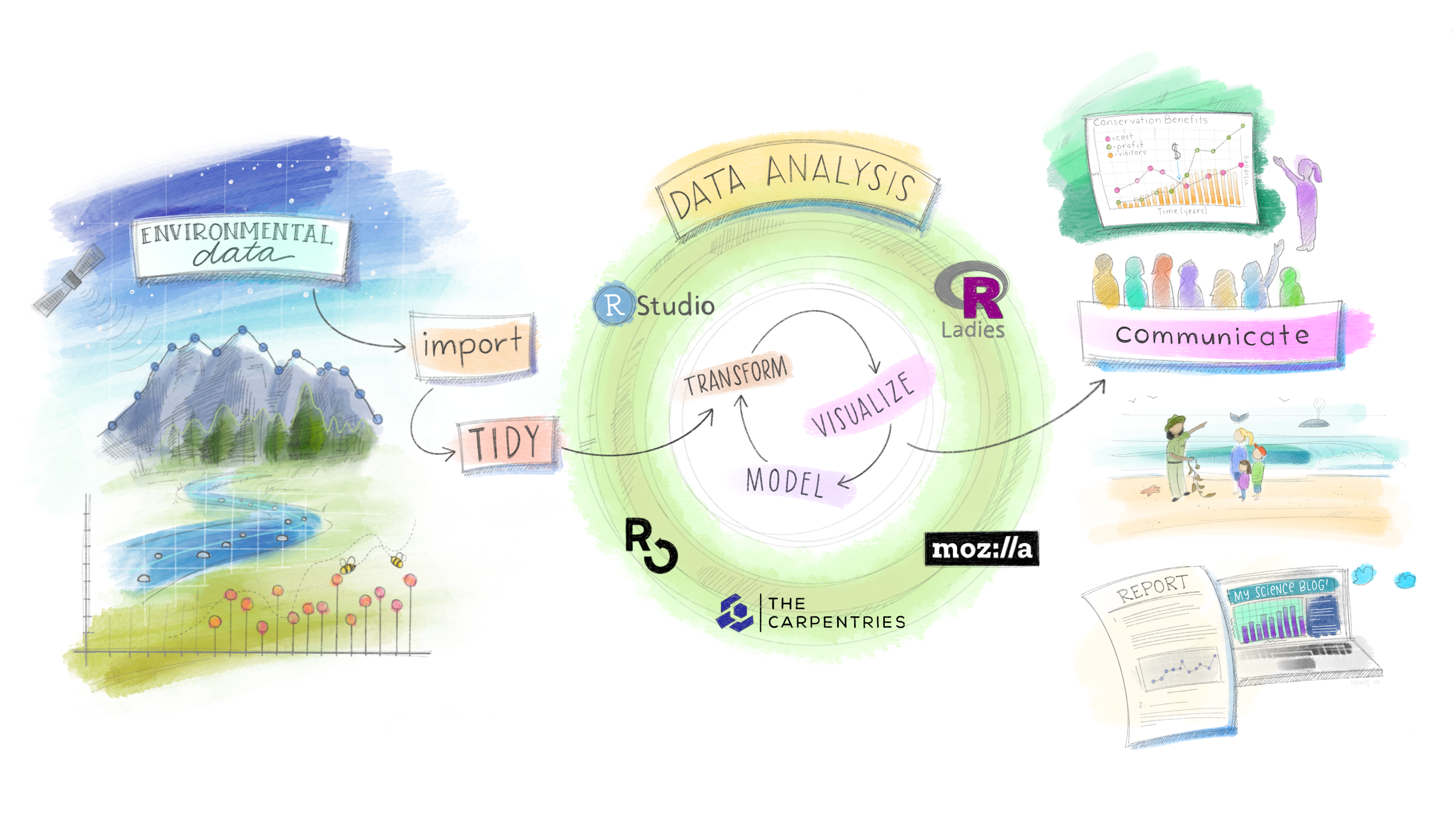 A three-part schematic. On the left is a natural landscape made of data points -- the stars in the sky, the mountain ridge, and the rocks in the river represent data points and line graphs. The flowers in the foreground are actually a part of a lolipop chart. A satellite hovers in the sky overhead. The words 'Environmental data' are written at the top of the image. An arrow leads us from 'Enviornmental Data' to the step, 'import', then to 'TIDY' as we transition to the middle schematic. At the center of this middle 'Data Analysis' schematic is the 'Transform' > 'Visualize' > 'Model' > repeat cycle. Different data science community logos surround this cycle, including RStudio, R-Ladies, Mozilla, The Carpentries, and rOpenSci. The right-hand side of the image illustrates the communication phase of environmental data science. At the top, a person presents data visualizations with the slide title, 'Conservation Benefits' to an audience. In the middle is a naturalist on the beach with a family. The naturalist is holding kelp and pointing to a whale in the ocean. At the bottom is a paper report with text and a data visualization sitting next to an open laptop. On the laptop screen reads the words, 'My Science Blog!' atop some text and another data visualization.